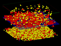 DigiDEM used to simulating sieving operations in the mining industry