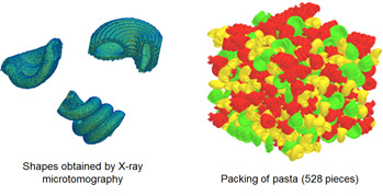 Shapes obtained by X-ray microtomography / Packing of pasta (528 pieces)